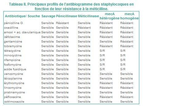 LUTTE CONTRE LES OSTEITES