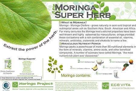 SOIGNEZ VOS OSTEITES CHRONIQUES AVEC DU MORINGA CA MARCHE SOIGNEZ VOS OSTEITES CHRONIQUES AVEC DU MORINGA CA MARCHE